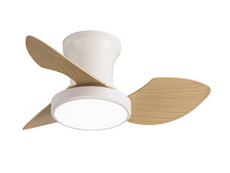 Ventilateur de Plafond avec Lumière Romimex Blanc Naturel Online Hot Sale